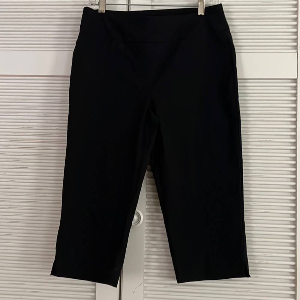 Ruby Rd. Stretch Pull On Capri Pants - image 1